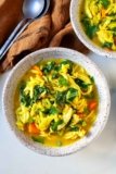 Immune Boosting Chicken Soup with Orzo